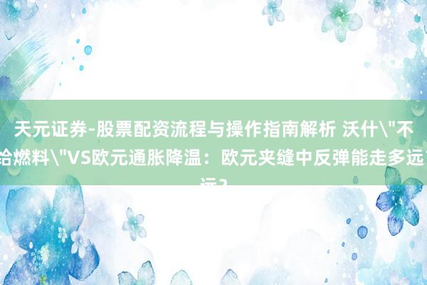 天元证券-股票配资流程与操作指南解析 沃什